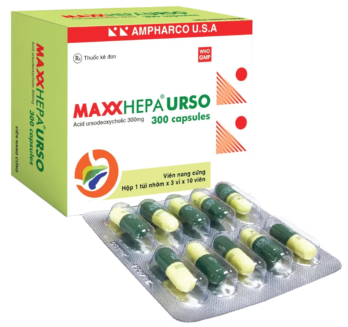 MAXXHEPA URSO 300 capsules