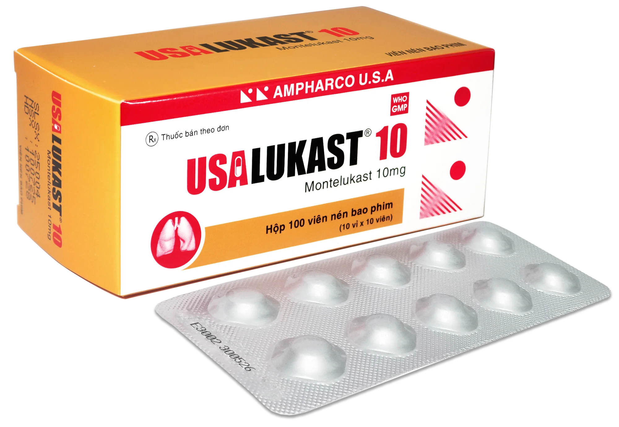 USALUKAST 10